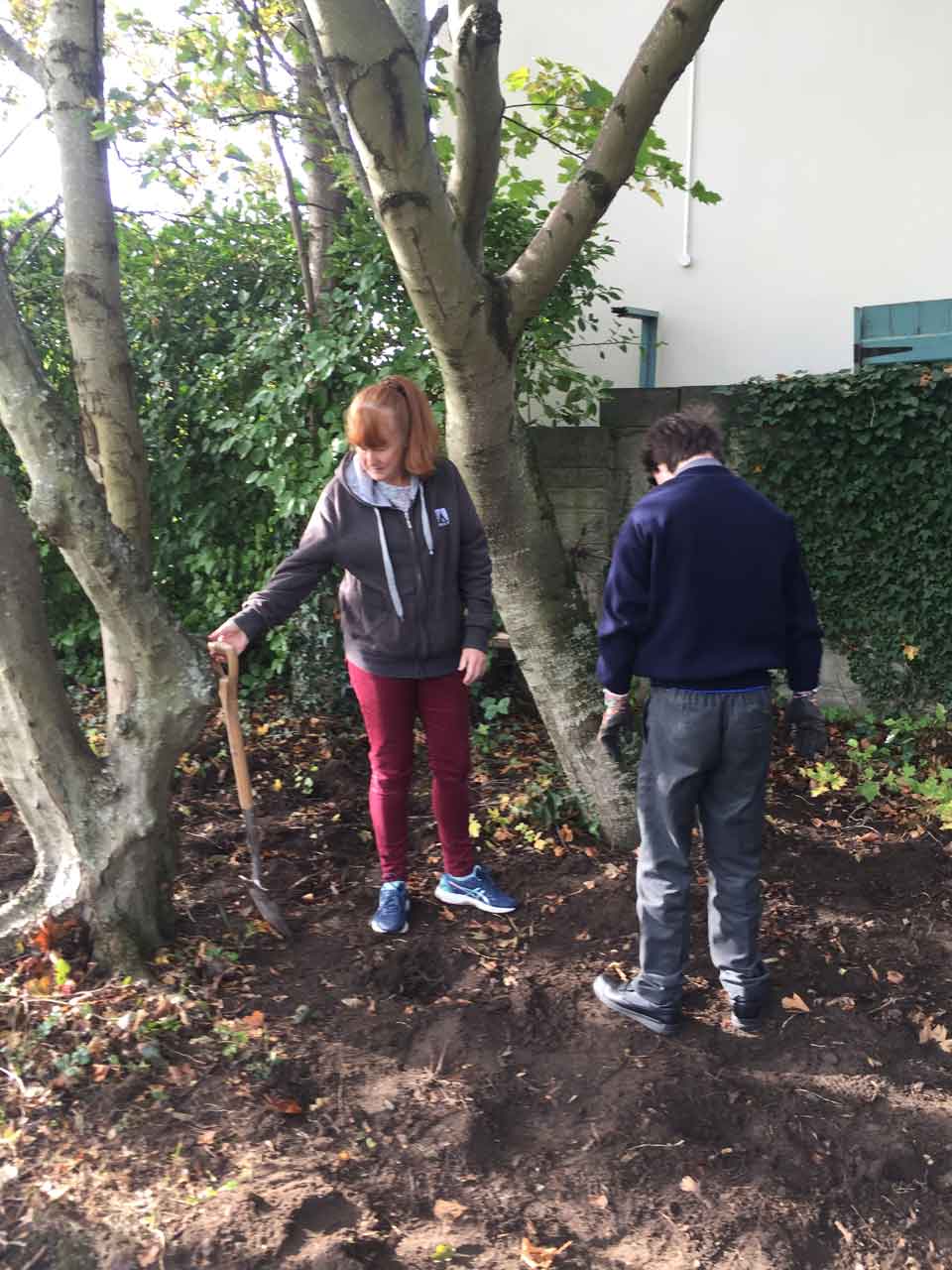 Johnstown School Group planting bulbs.